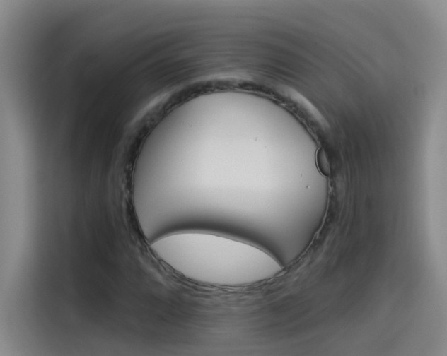 X0000114081064200910131232