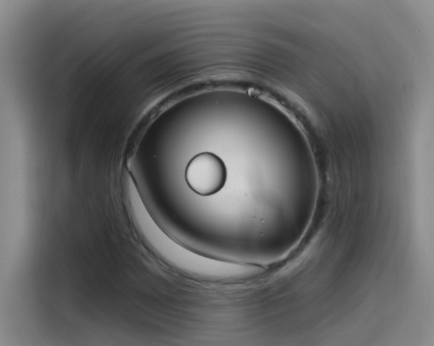 X0000114081065200910131232