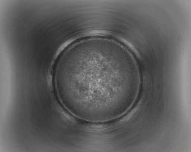 X0000114081066200910131232