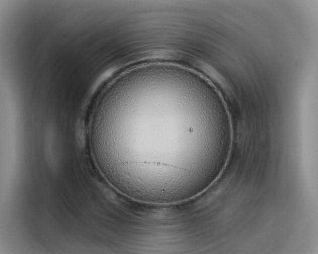 X0000114081067200910131232