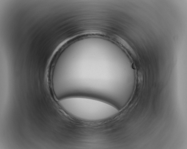 X0000114081068200910131232