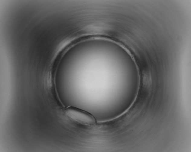 X0000114081069200910131232