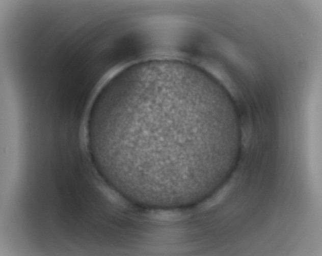 X0000114081074200910131232