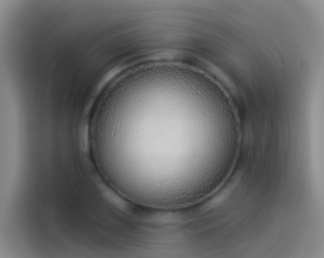 X0000114081075200910131232