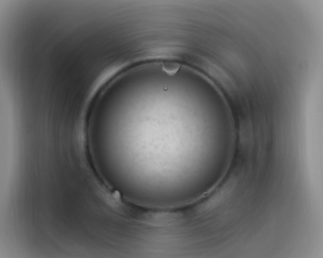 X0000114081077200910131232