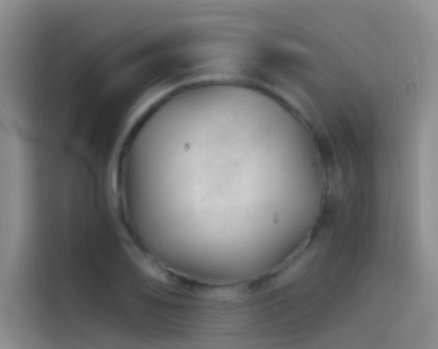 X0000114081078200910131232