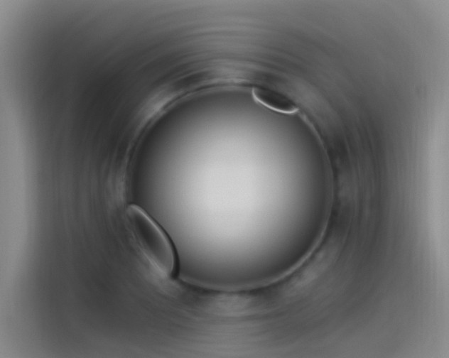 X0000114081081200910131232