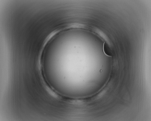 X0000114081082200910131232