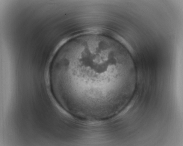 X0000114081083200910131232