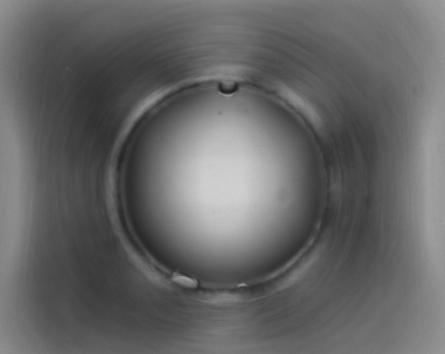 X0000114081085200910131232