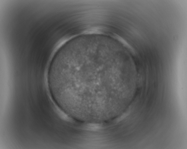 X0000114081086200910131231