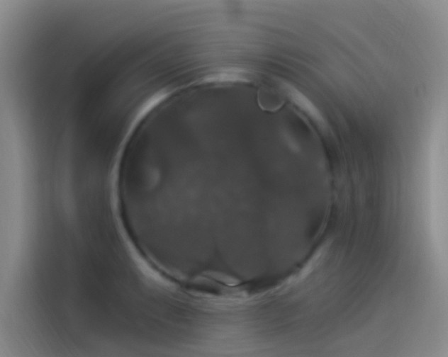 X0000114081087200910131231