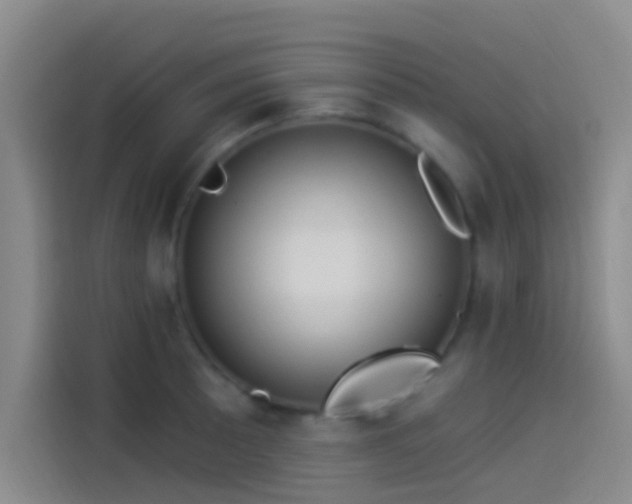 X0000114081089200910131231