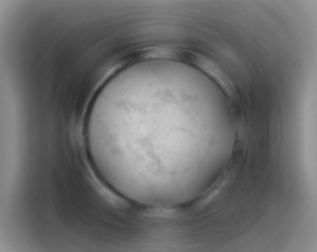 X0000114081090200910131231