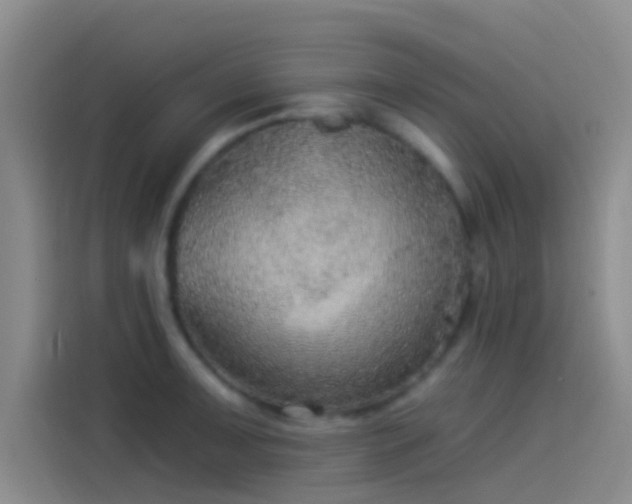 X0000114081091200910131231