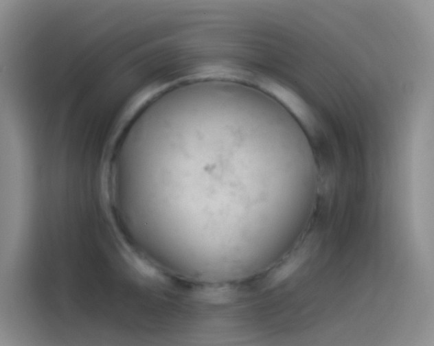 X0000114081094200910131231