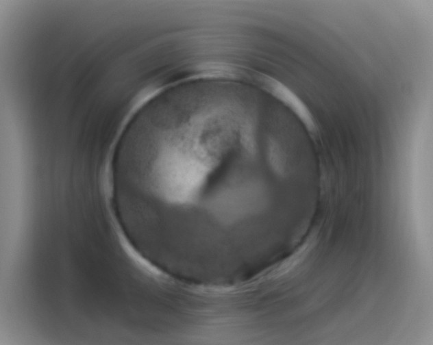 X0000114081095200910131231