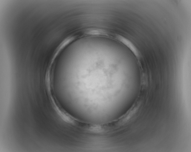 X0000114081098200910131231