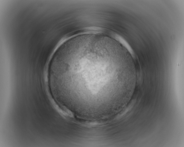 X0000114081099200910131231