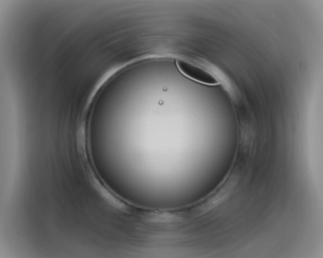 X0000114081100200910131231