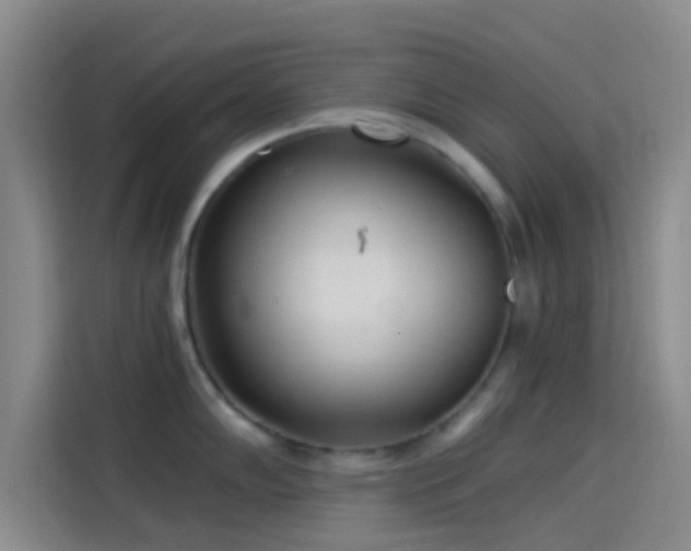 X0000114081102200910131231