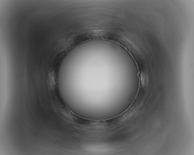 X0000114081107200910131231