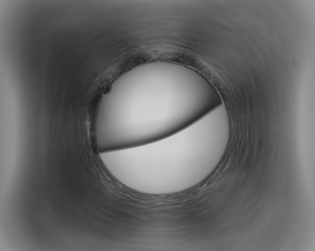 X0000114081108200910131231