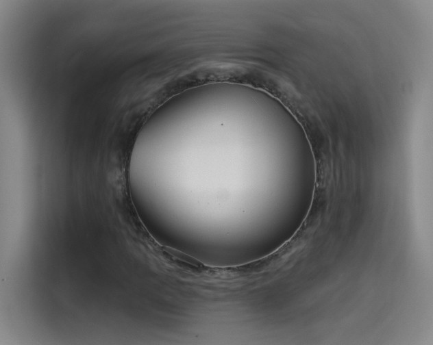 X0000114081109200910131231