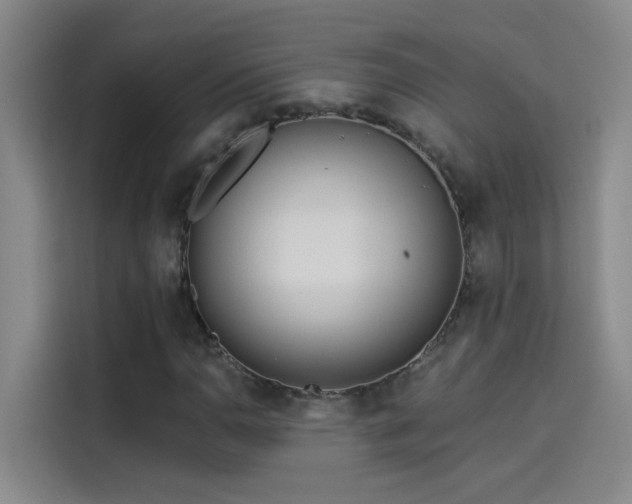 X0000114081110200910131231