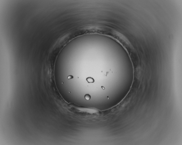 X0000114081111200910131231