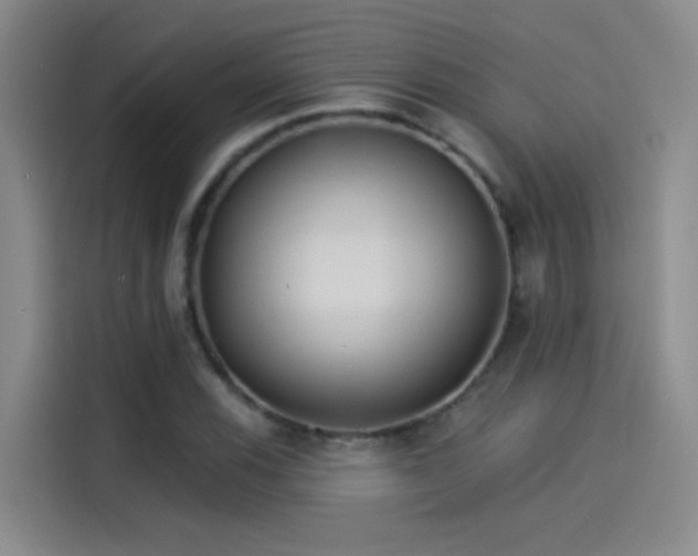 X0000114081116200910131231