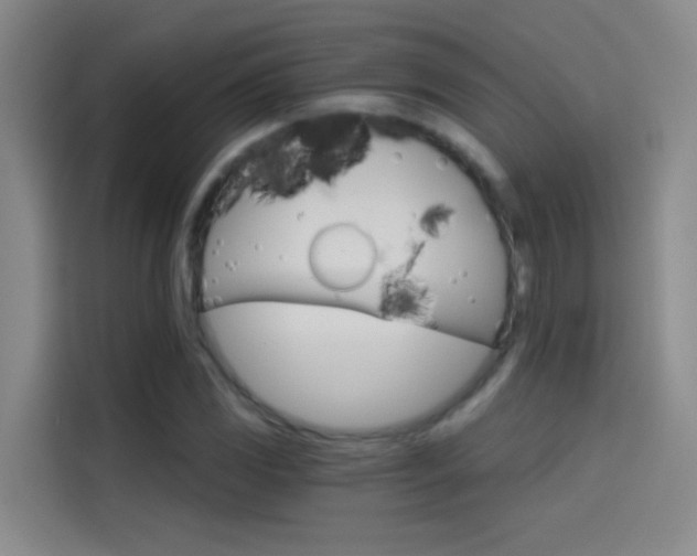 X0000114081117200910131231