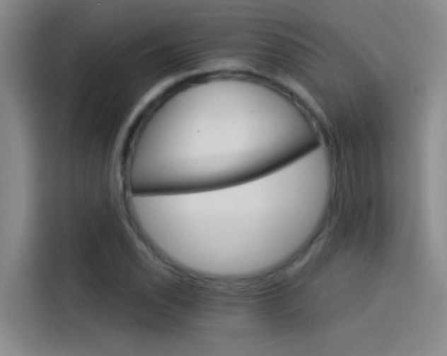 X0000114081118200910131231