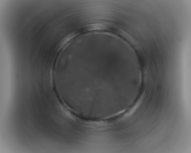 X0000114081121200910131231