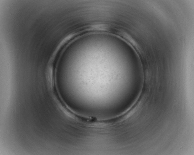 X0000114081123200910131231