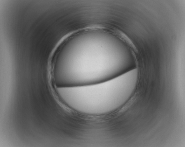 X0000114081124200910131231