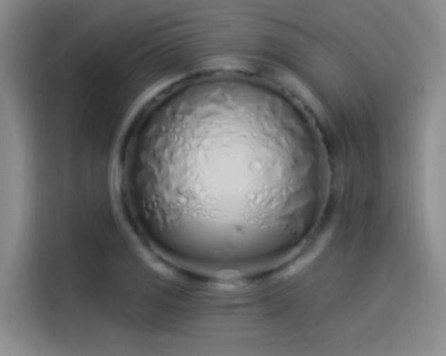 X0000114081125200910131231