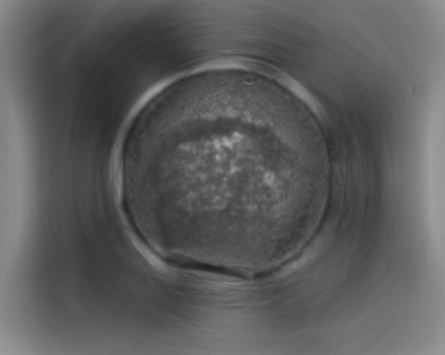 X0000114081127200910131231