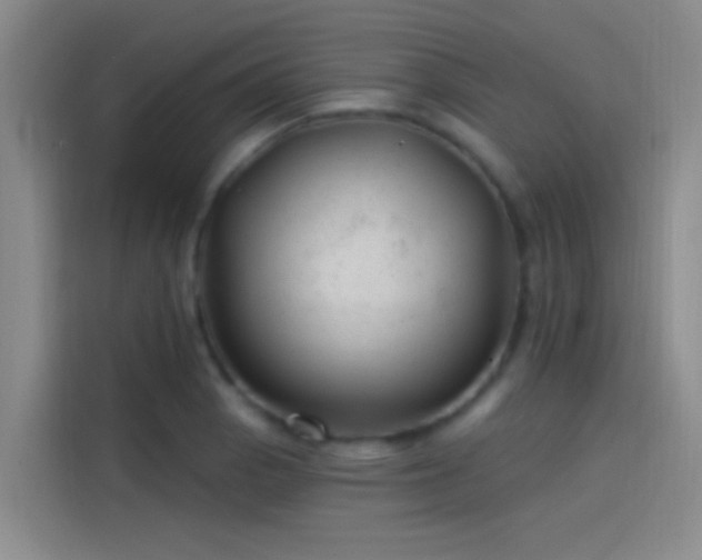 X0000114081129200910131231