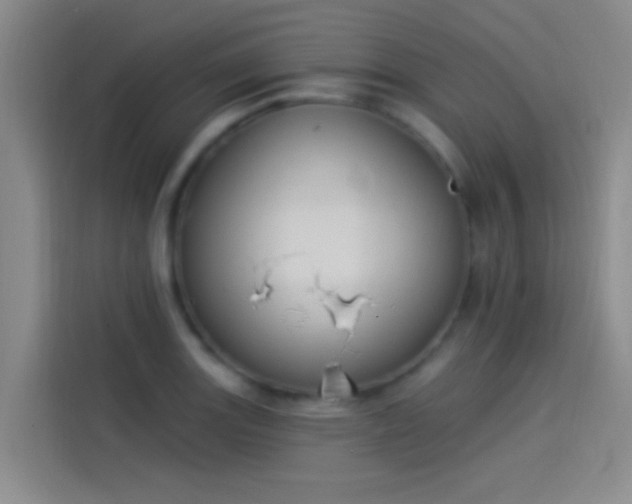 X0000114081131200910131231