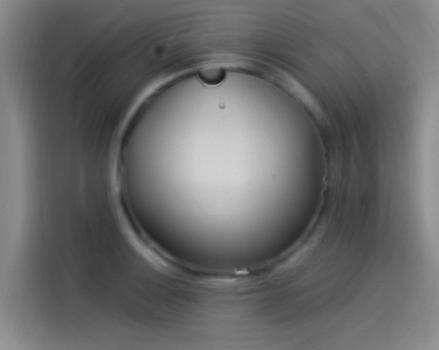 X0000114081132200910131231