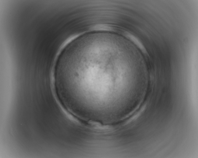 X0000114081133200910131231