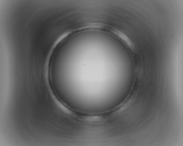 X0000114081135200910131231