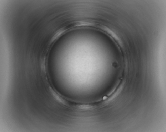 X0000114081137200910131231