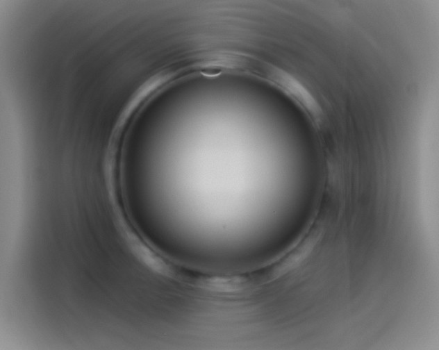 X0000114081138200910131231