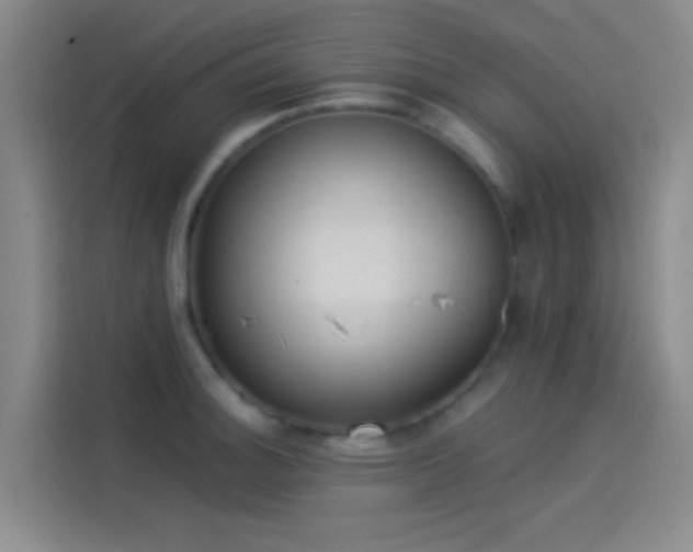 X0000114081140200910131231