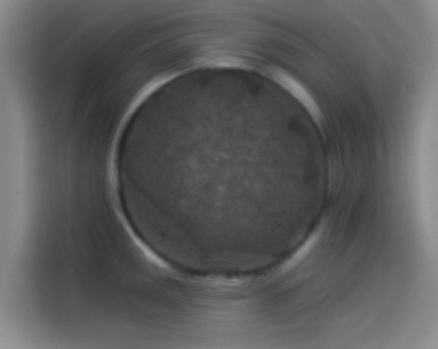 X0000114081141200910131231