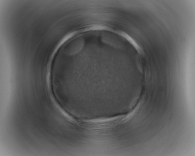 X0000114081142200910131231