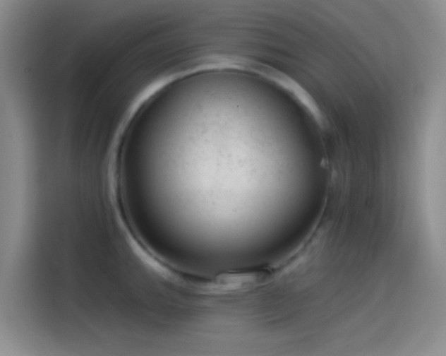 X0000114081143200910131231