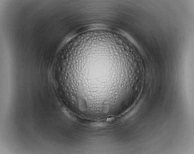 X0000114081145200910131231